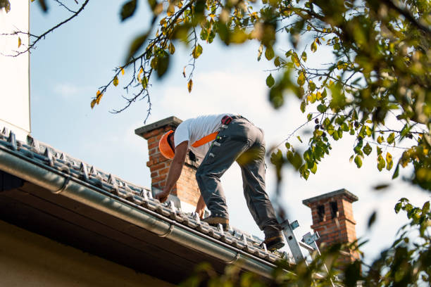 Best Green or Eco-Friendly Roofing Solutions  in North Grosvenor Dale, CT